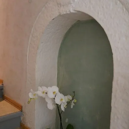 Apartmán Istriana *